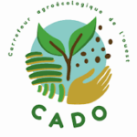 CADO  logo